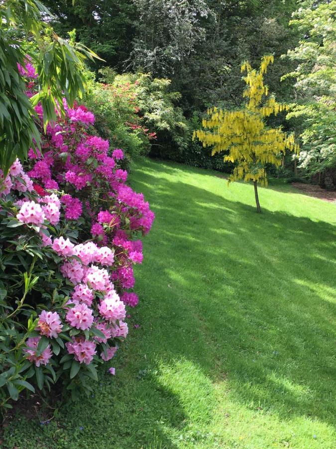 Llanwenarth Cottage A Beautiful Place To Just Be. Abergavenny Exterior foto